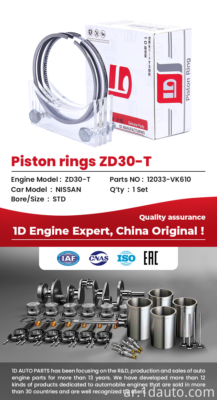 NISSAN Truck Piston Rings 
